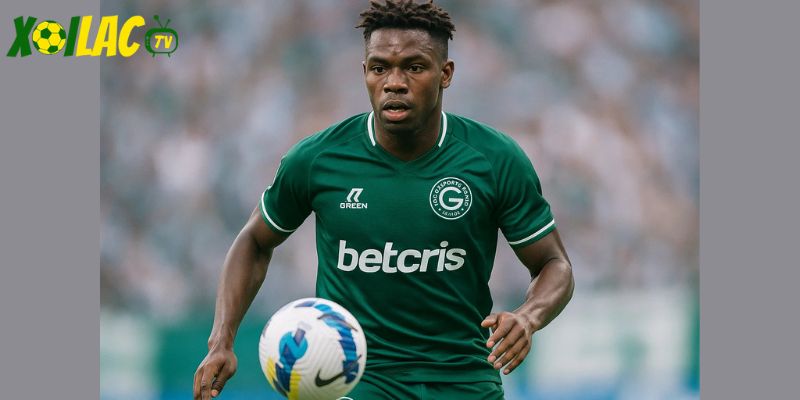 Baya là mũi nhọn trong trận Avai vs Goias. Baya là mũi nhọn trong trận Avai vs Goias.