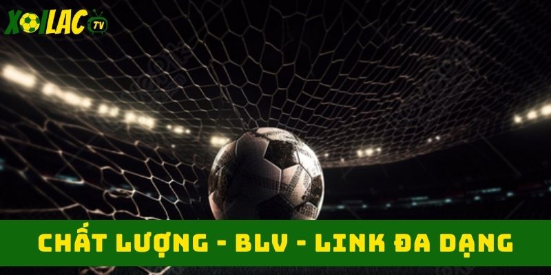 Hệ sinh thái làm việc chuyên nghiệp 